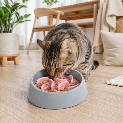 Slow Feeder Bowl for Cats & Dogs – Pink
