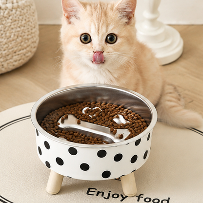 Elevated Slow Feeder Bowl for Cats