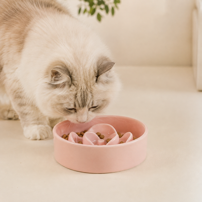 Pink Petal Slow Feeder Bowl