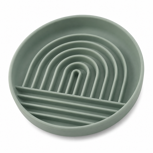 Silicone Slow Feeder Bowl for Cats & Dogs
